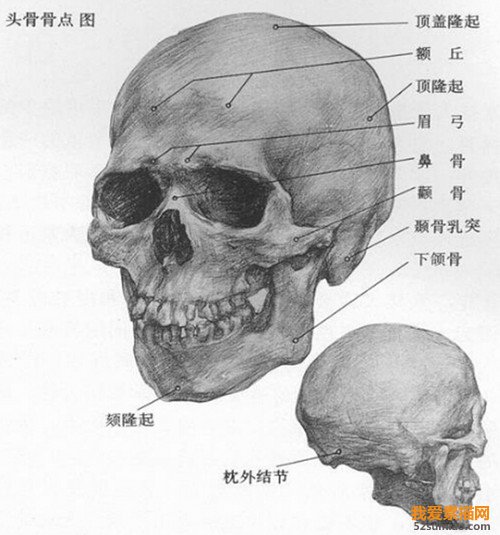 素描頭像技法學習與優(yōu)秀作品欣賞